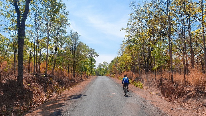 National park cycle tour (half day)